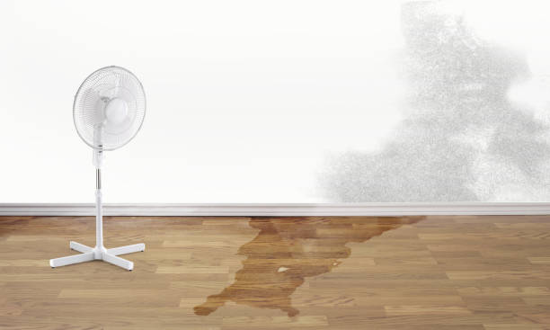  Arlington Heights, IL Water damage restoration Pros