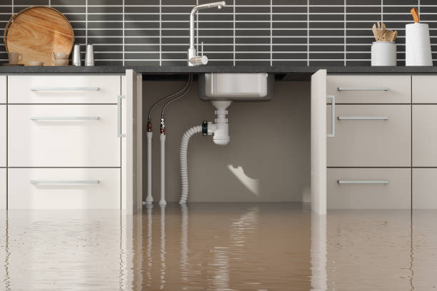 Professional Water damage restoration in Arlington Heights, IL