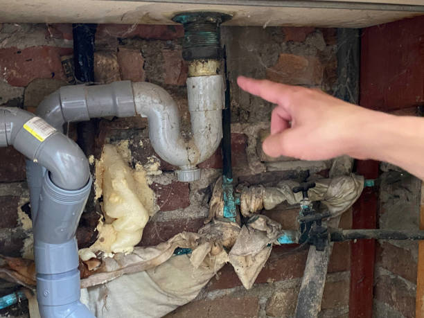 Best 24/7 water damage repair  in Arlington Heights, IL