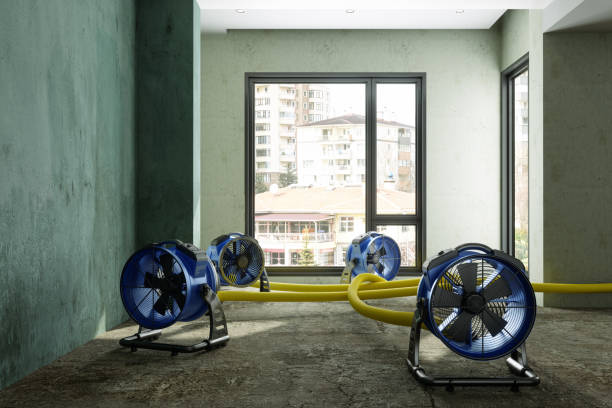 Best Emergency water damage restoration  in Arlington Heights, IL