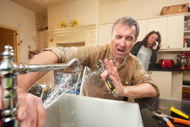 Best 24-hour water damage restoration  in Arlington Heights, IL